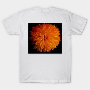 Yellow Flower T-Shirt